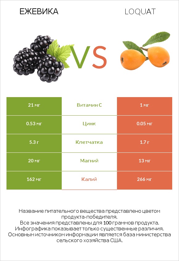 Ежевика vs Loquat infographic
