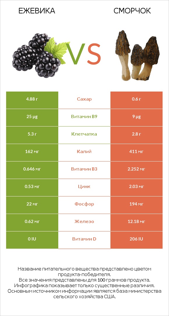 Ежевика vs Сморчок infographic