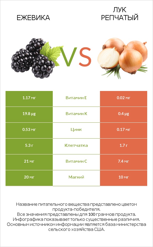 Ежевика vs Лук репчатый infographic