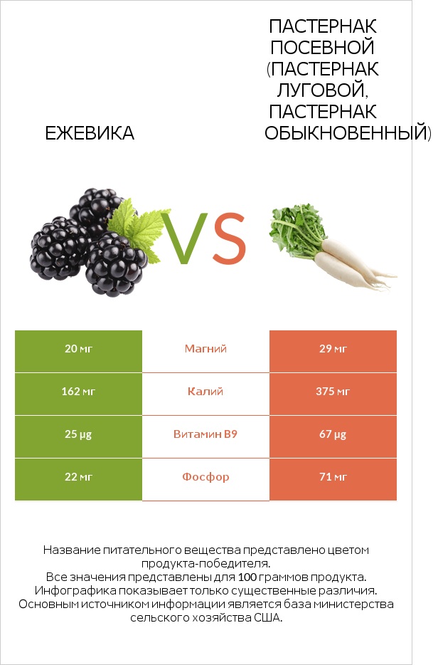 Ежевика vs Пастернак посевной (Пастернак луговой, Пастернак обыкновенный) infographic
