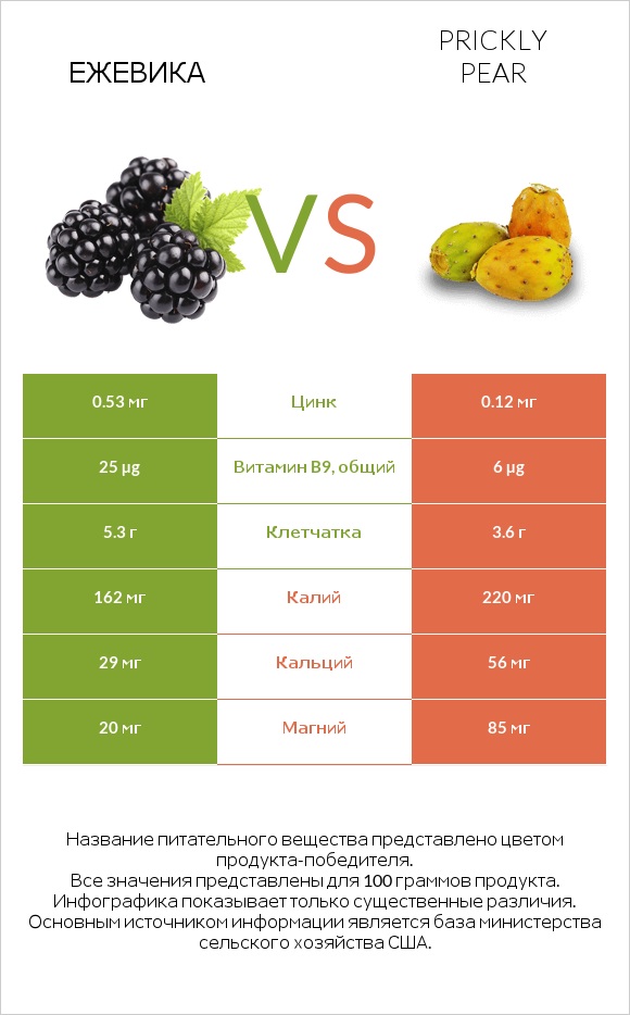 Ежевика vs Prickly pear infographic