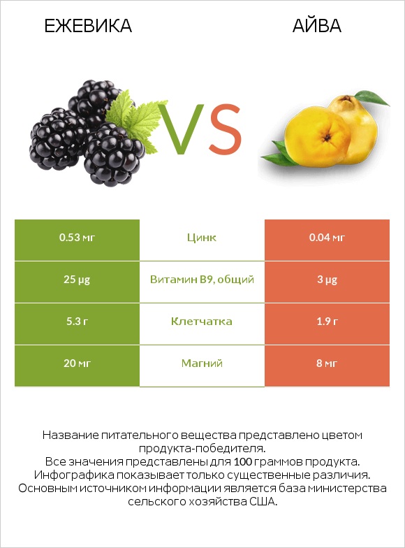 Ежевика vs Айва infographic