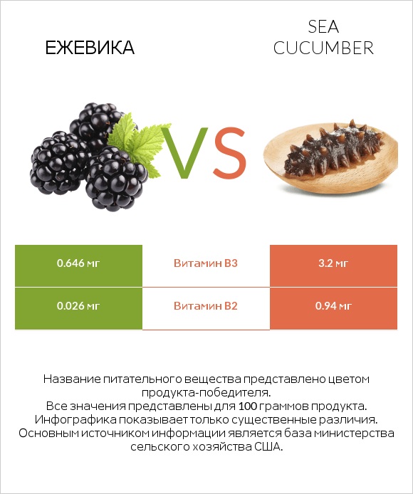 Ежевика vs Sea cucumber infographic