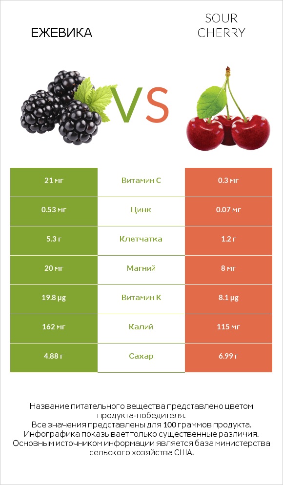 Ежевика vs Sour cherry infographic