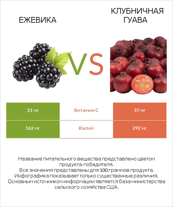 Ежевика vs Клубничная гуава infographic