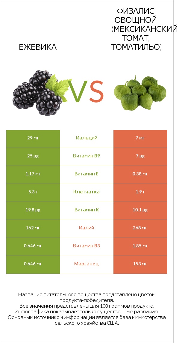 Ежевика vs Физалис овощной (мексиканский томат, томатильо) infographic