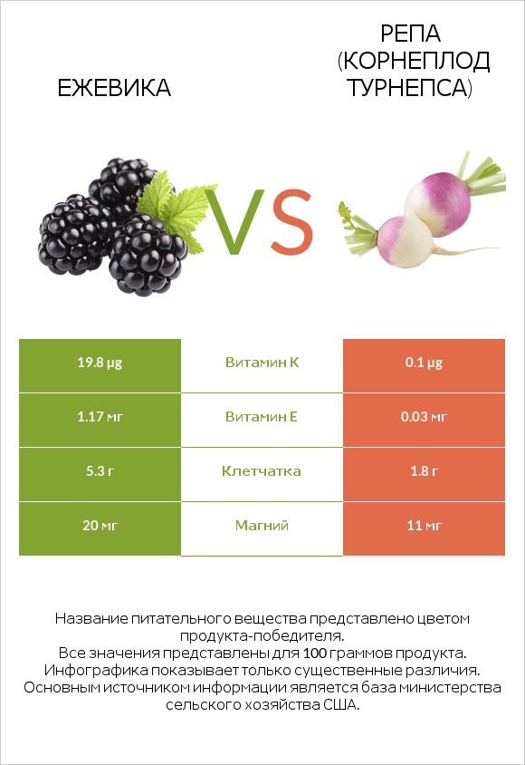 Ежевика vs Репа (корнеплод турнепса) infographic