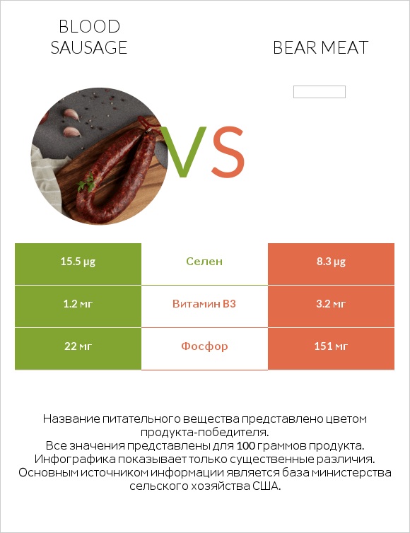 Blood sausage vs Bear meat infographic