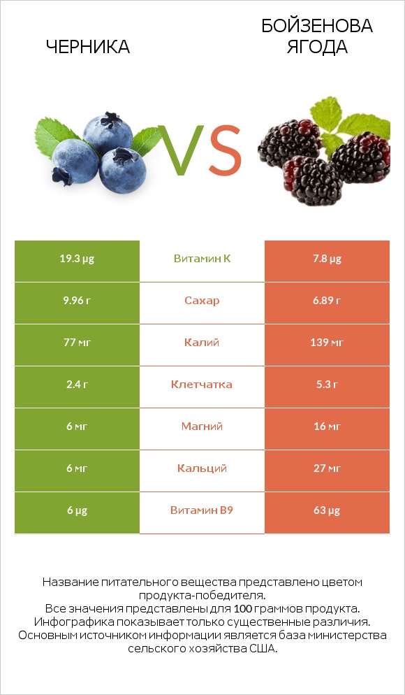 Черника vs Бойзенова ягода infographic