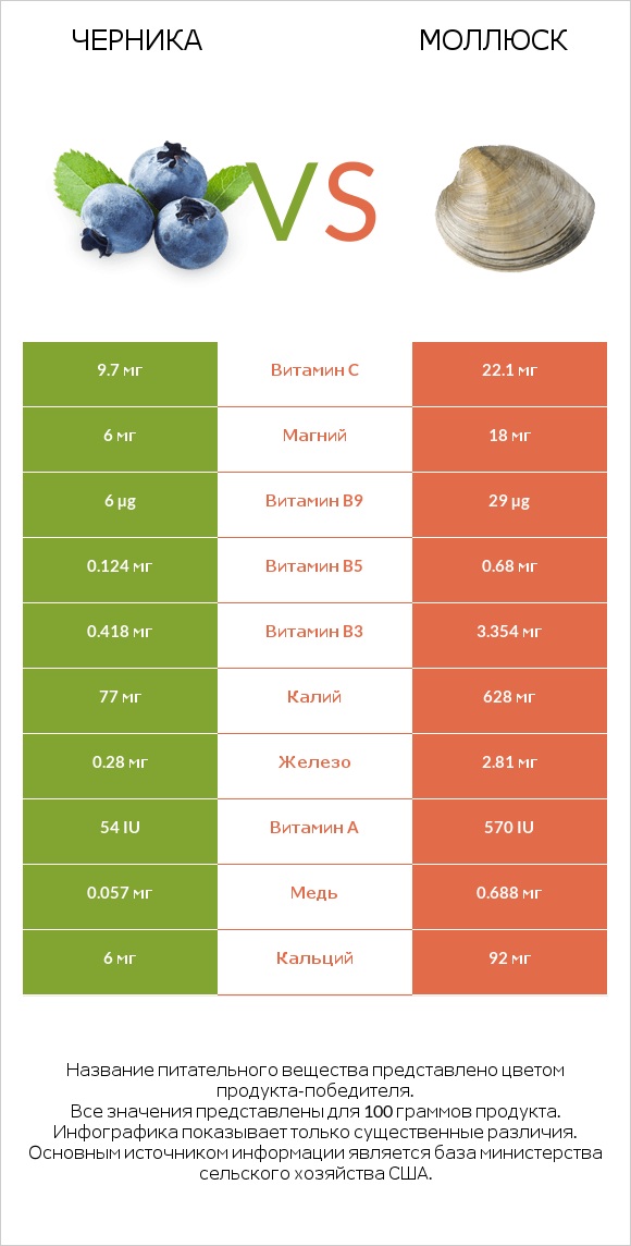 Черника vs Моллюск infographic