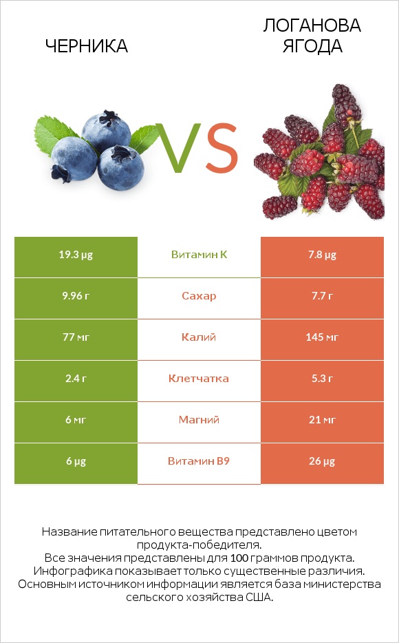 Черника vs Логанова ягода infographic