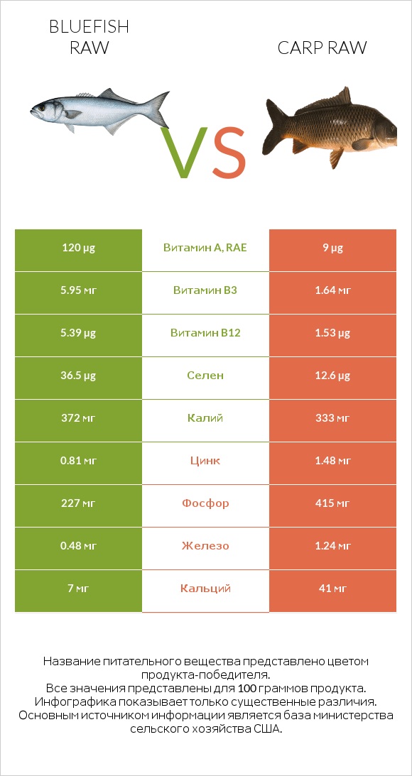 Bluefish raw vs Carp raw infographic