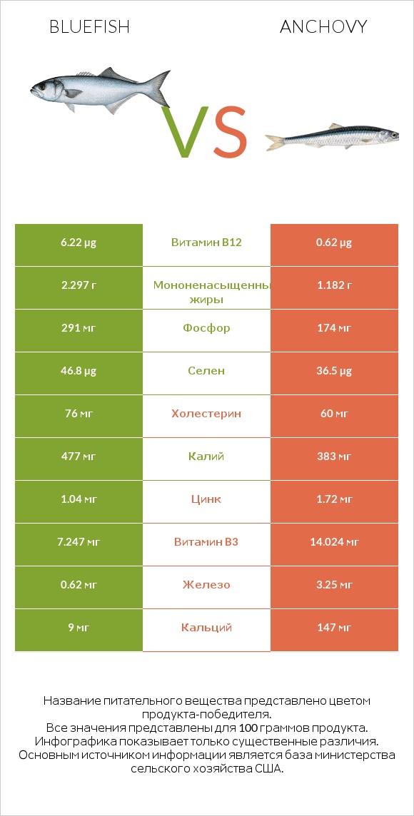 Bluefish vs Anchovy infographic