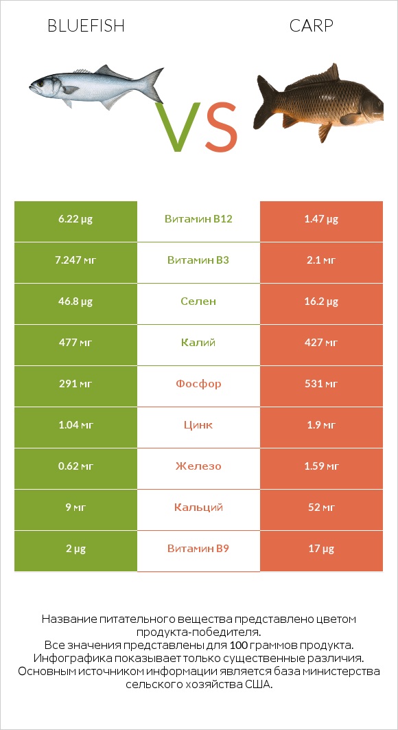 Bluefish vs Carp infographic