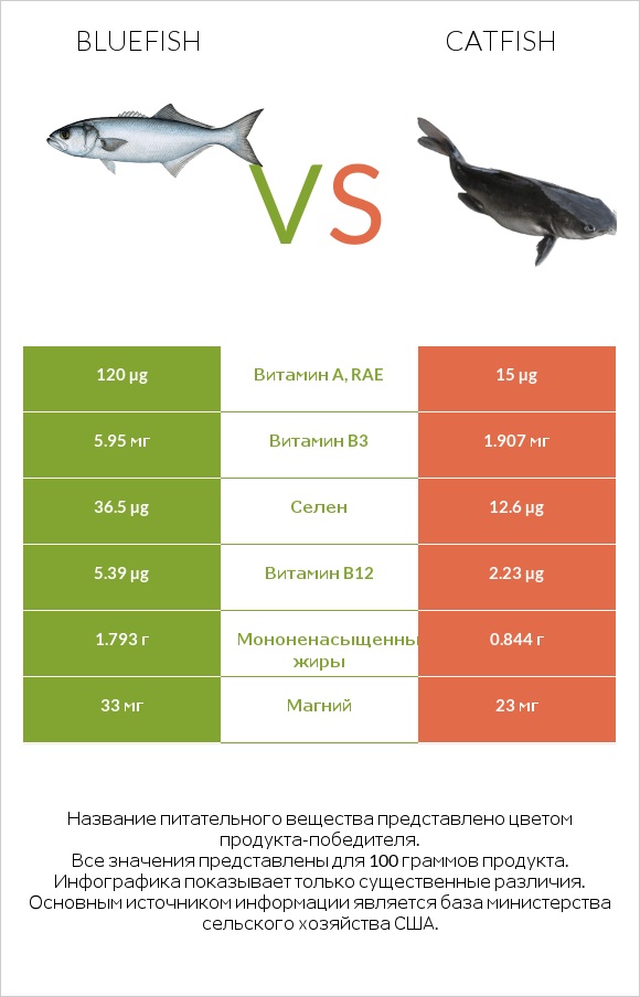 Bluefish vs Catfish infographic