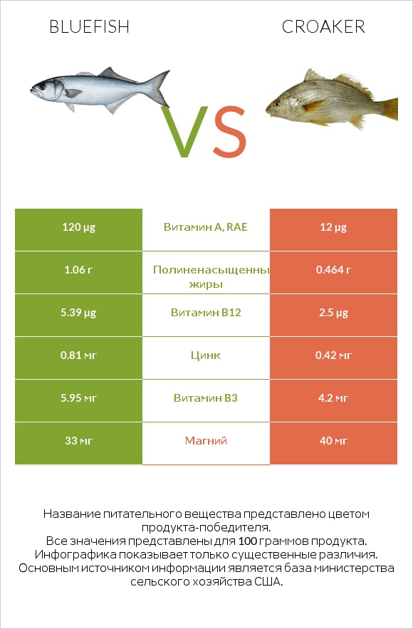 Bluefish vs Croaker infographic
