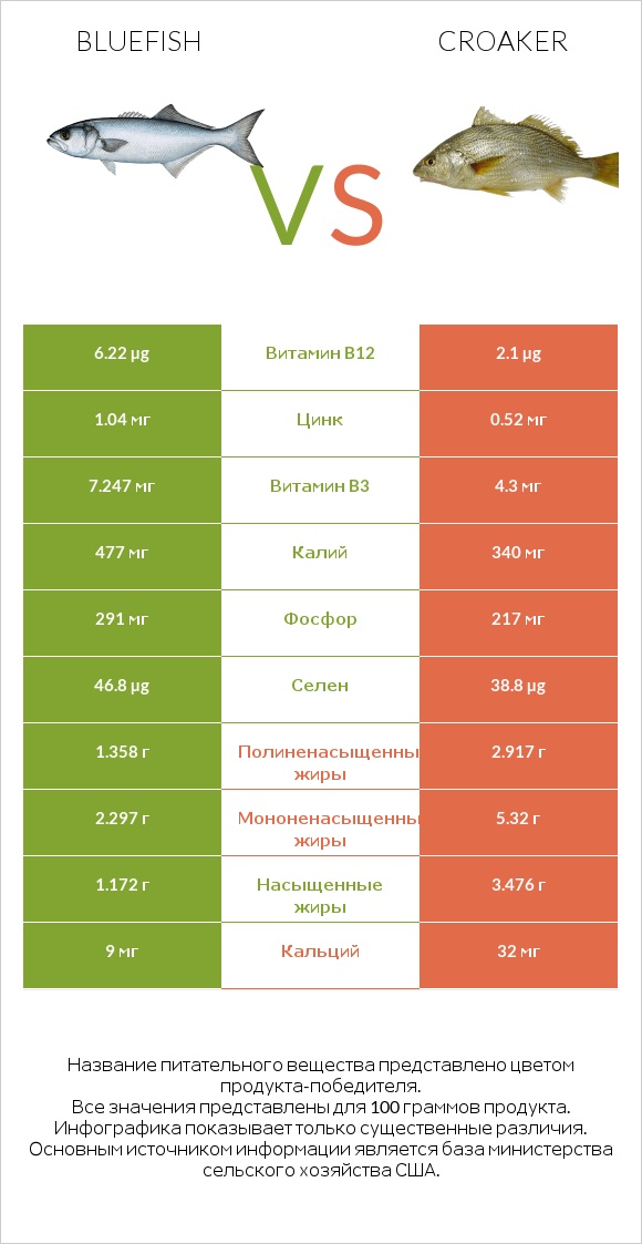 Bluefish vs Croaker infographic