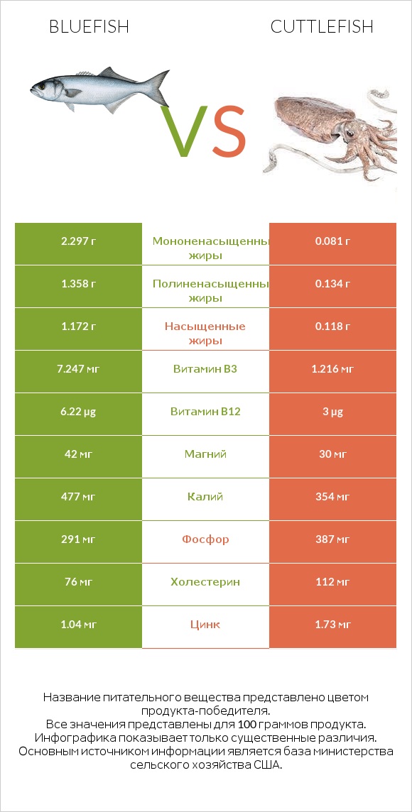 Bluefish vs Cuttlefish infographic
