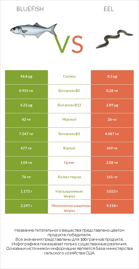 Bluefish vs Eel infographic