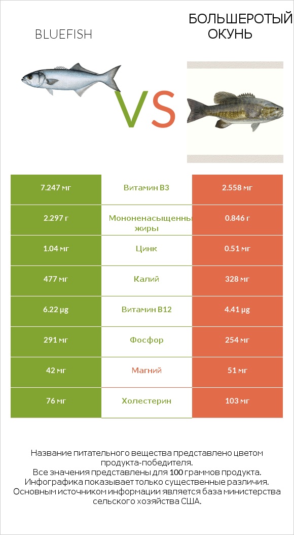 Bluefish vs Большеротый окунь infographic