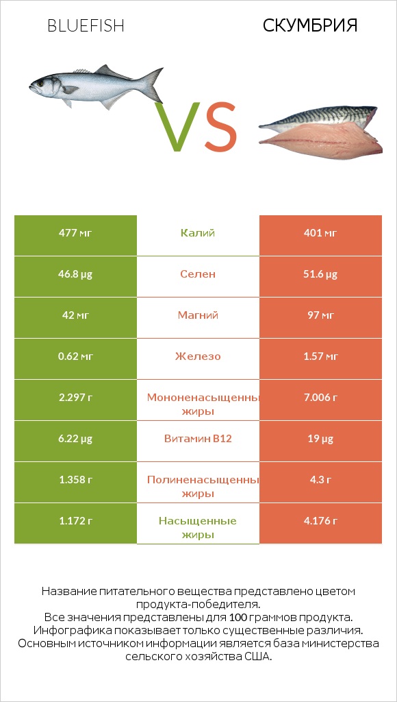 Bluefish vs Скумбрия infographic