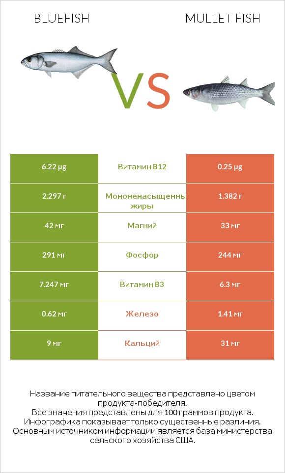 Bluefish vs Mullet fish infographic