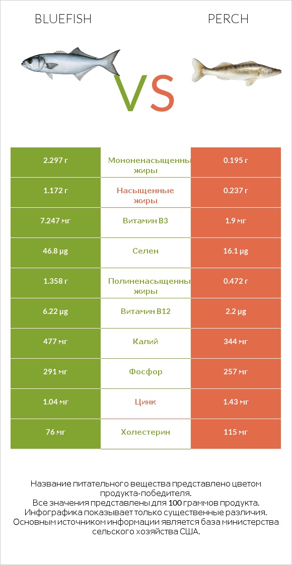 Bluefish vs Perch infographic