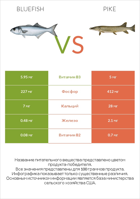Bluefish vs Pike infographic