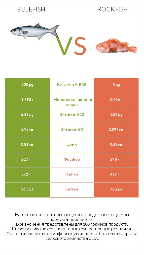 Bluefish vs Rockfish infographic