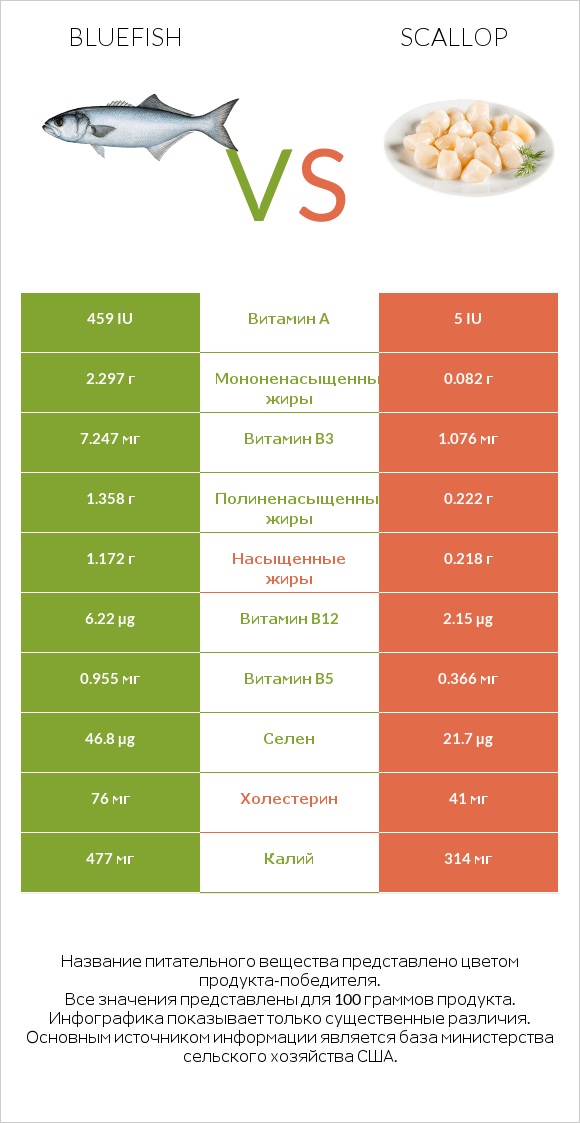 Bluefish vs Scallop infographic