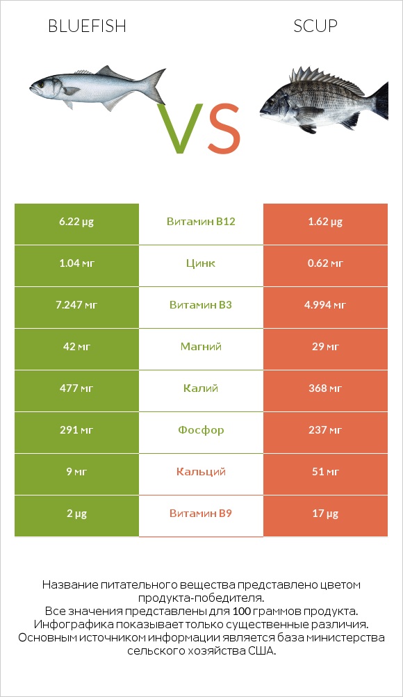 Bluefish vs Scup infographic