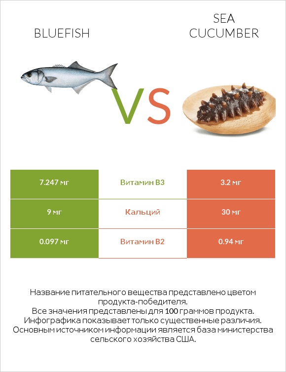 Bluefish vs Sea cucumber infographic