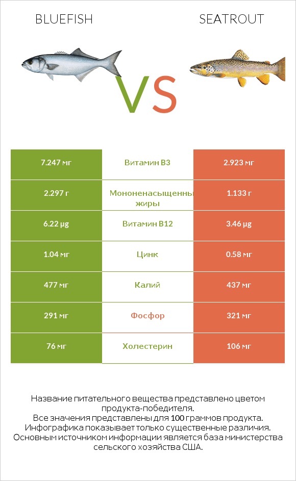 Bluefish vs Seatrout infographic