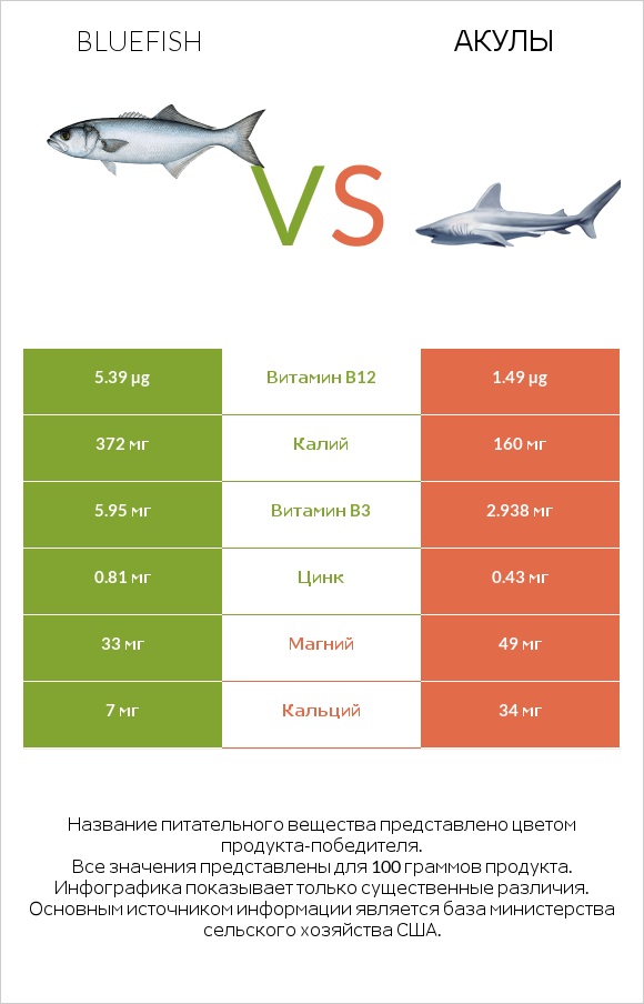 Bluefish vs Акула infographic