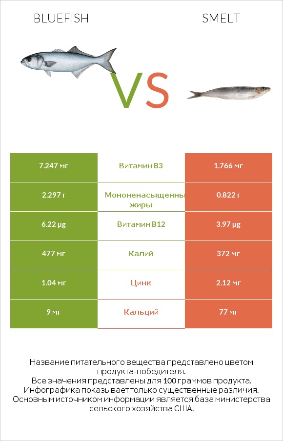 Bluefish vs Smelt infographic