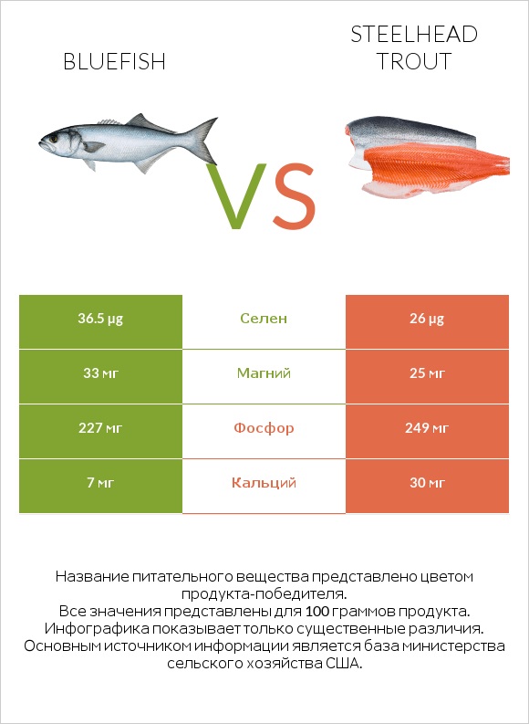 Bluefish vs Steelhead trout infographic