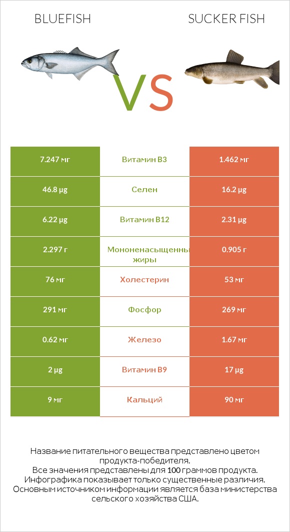 Bluefish vs Sucker fish infographic