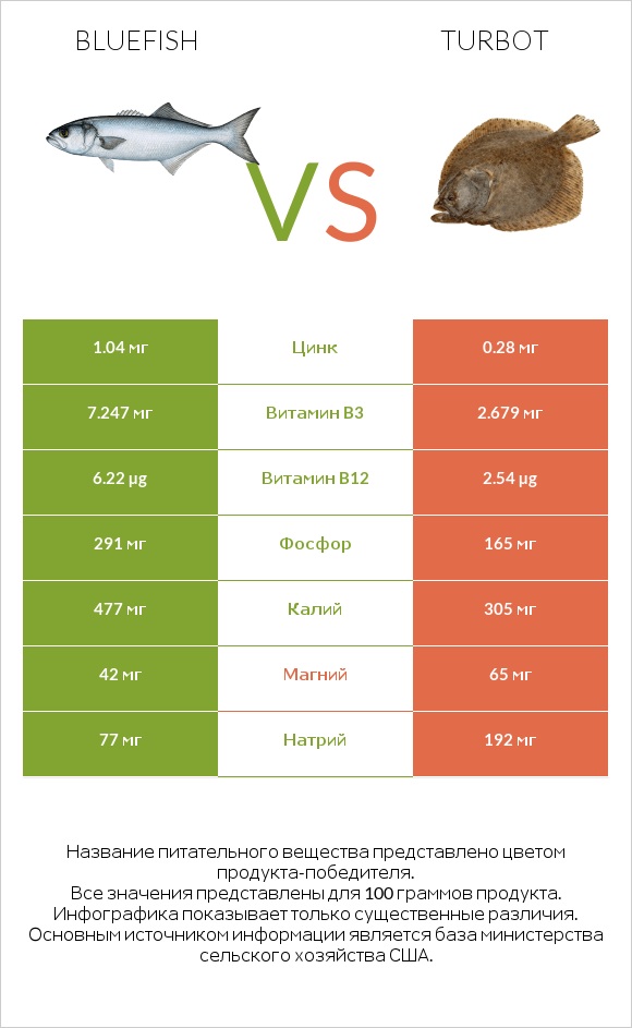 Bluefish vs Turbot infographic