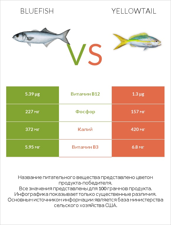 Bluefish vs Yellowtail infographic