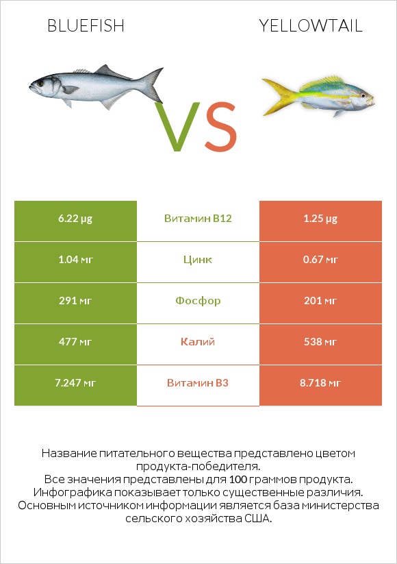 Bluefish vs Yellowtail infographic