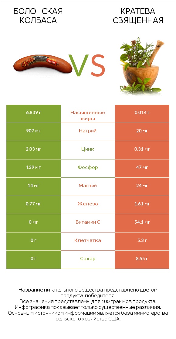 Болонская колбаса vs Кратева священная infographic