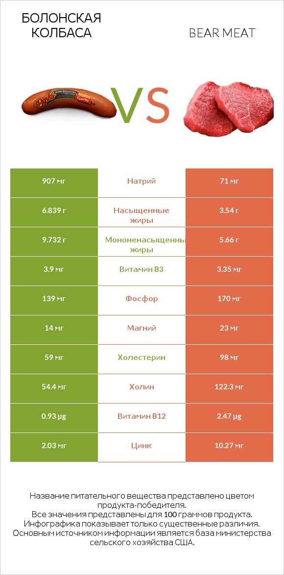 Болонская колбаса vs Bear meat infographic