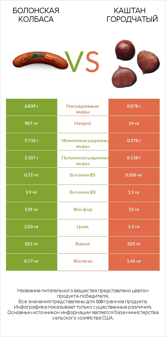 Болонская колбаса vs Каштан городчатый infographic