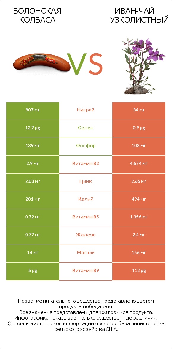 Болонская колбаса vs Иван-чай узколистный infographic