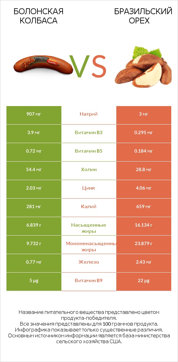 Болонская колбаса vs Бразильский орех infographic