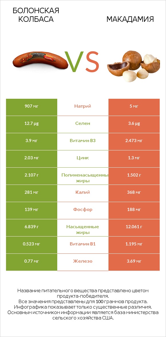 Болонская колбаса vs Макадамия infographic