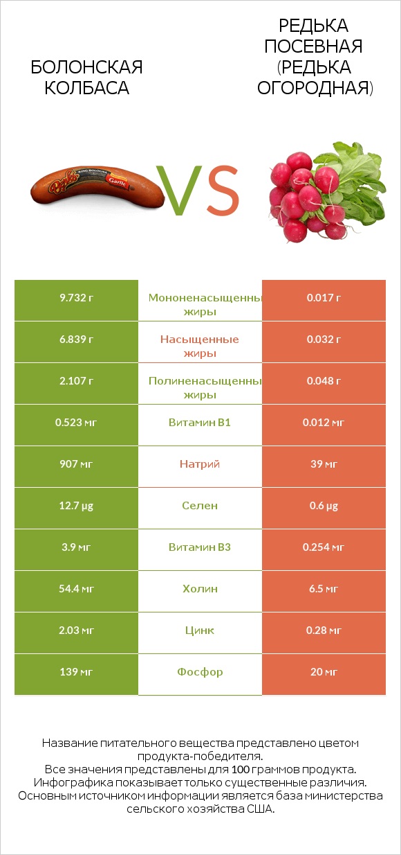 Болонская колбаса vs Редька посевная (Редька огородная) infographic