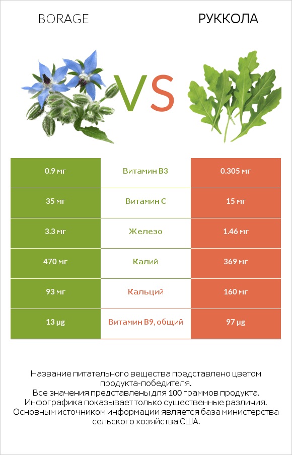 Бурачник лекарственный vs Руккола infographic