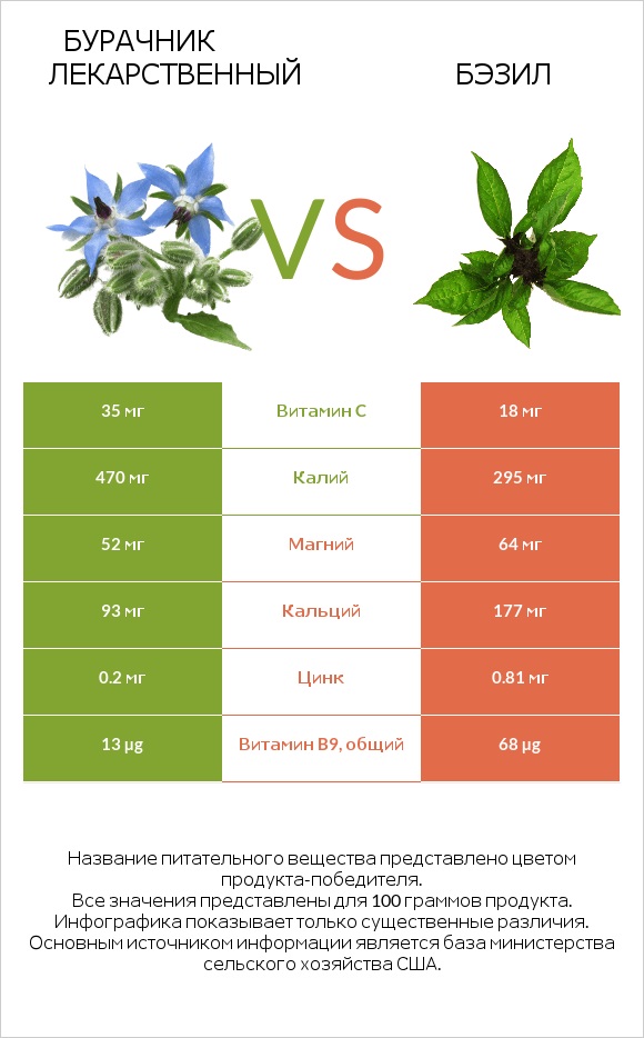 Бурачник лекарственный vs Бэзил infographic