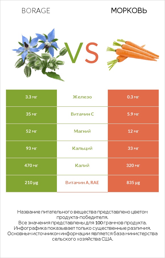 Borage vs Морковь infographic